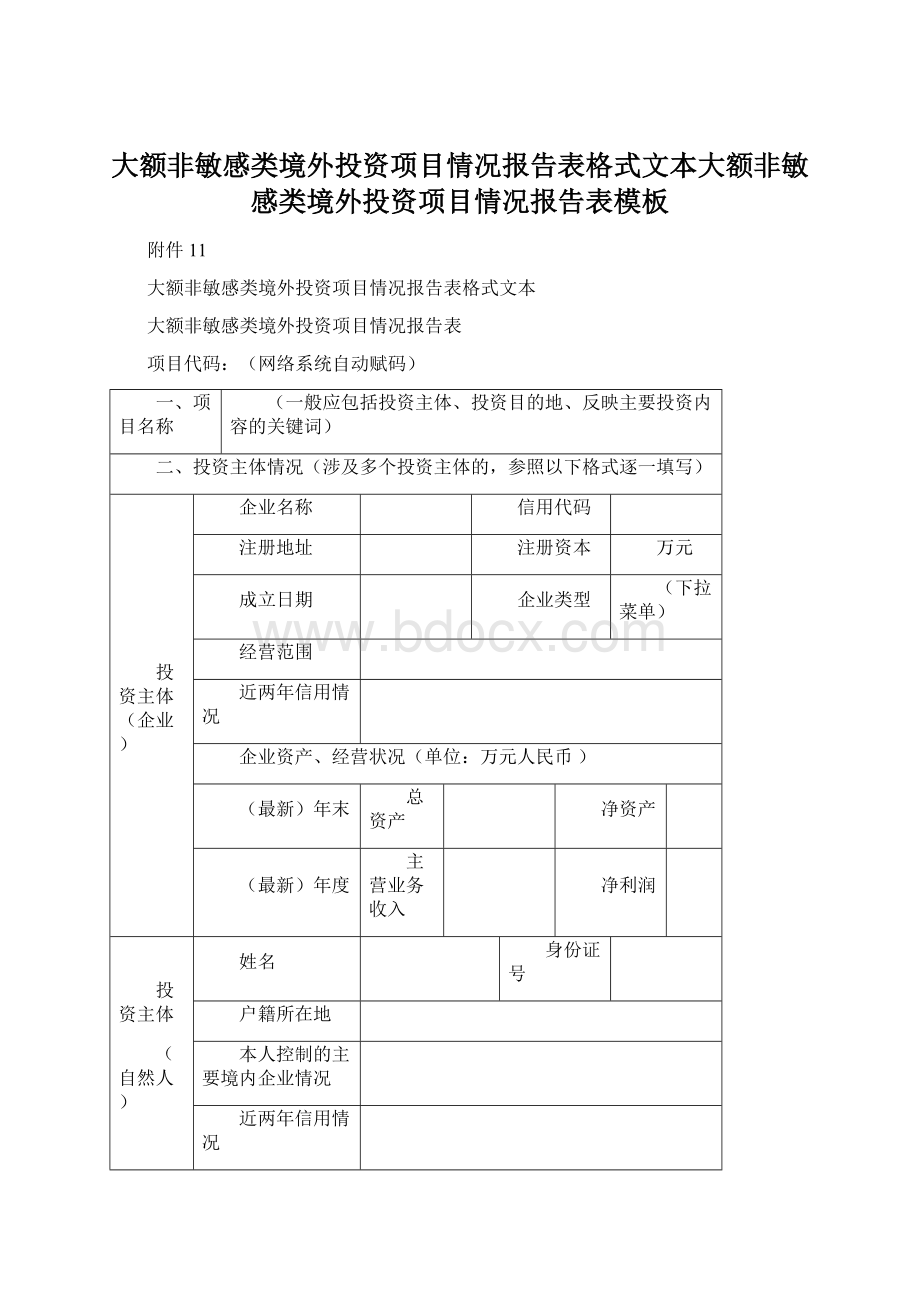 大额非敏感类境外投资项目情况报告表格式文本大额非敏感类境外投资项目情况报告表模板Word格式文档下载.docx