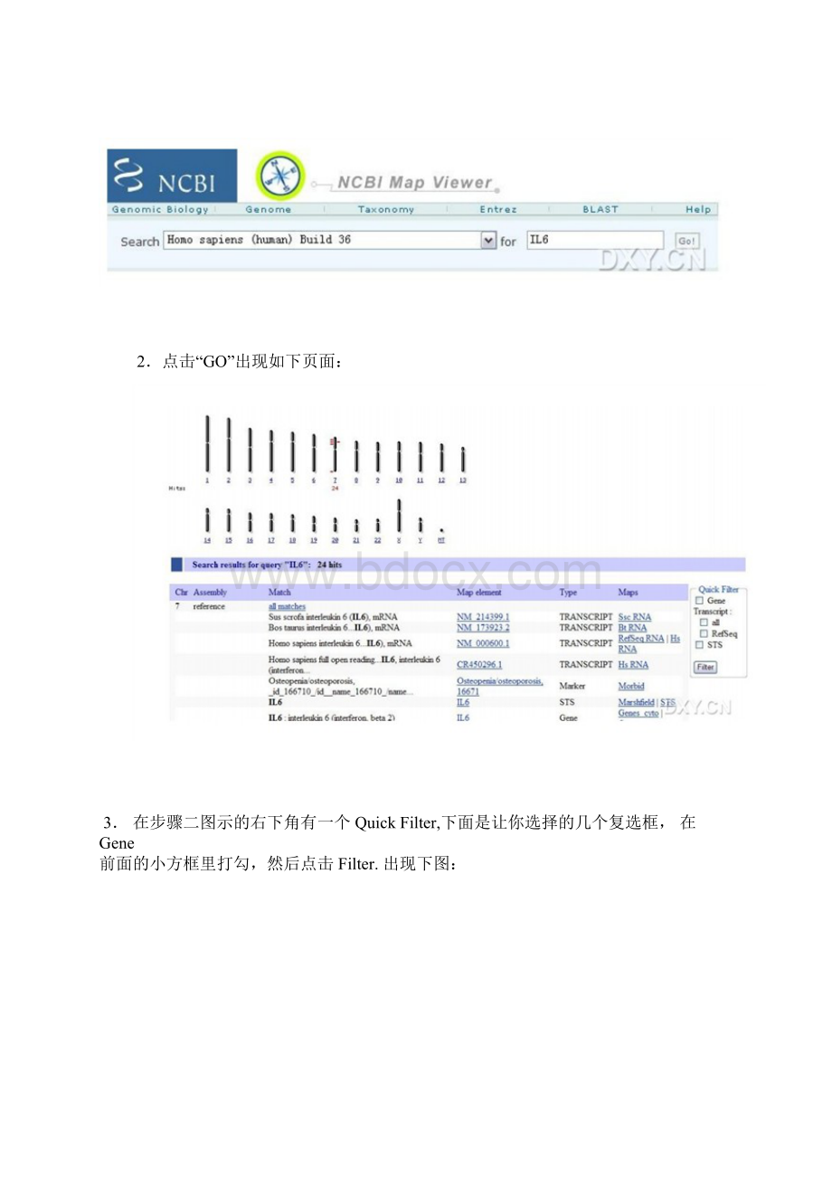 一步一步教你使用NCBI查找DNAmRNAcDNAProteinpromoter引物设Word格式文档下载.docx_第2页