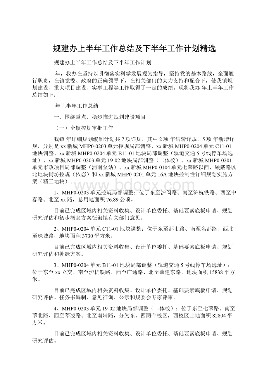 规建办上半年工作总结及下半年工作计划精选.docx