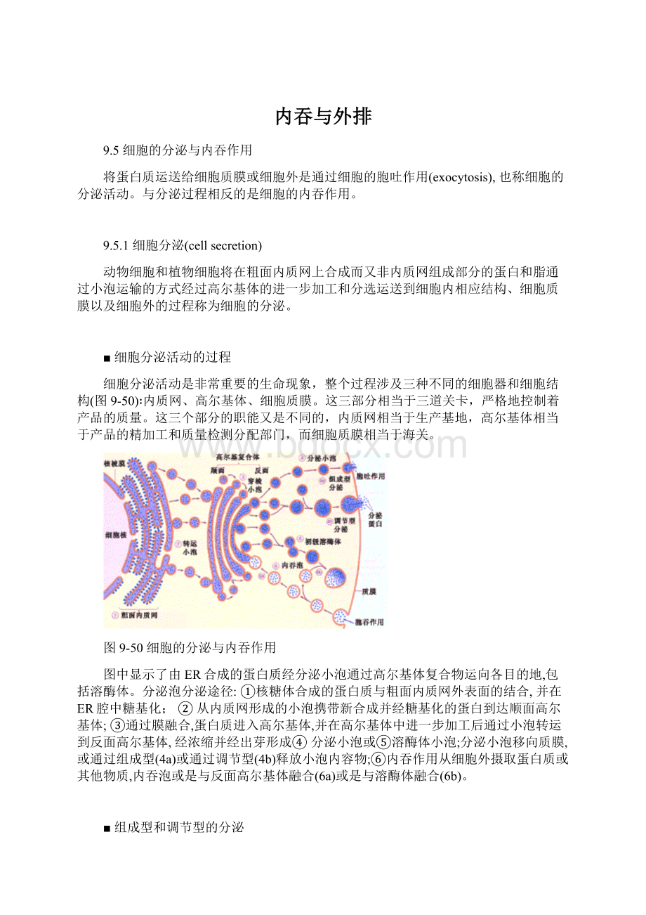 内吞与外排.docx_第1页