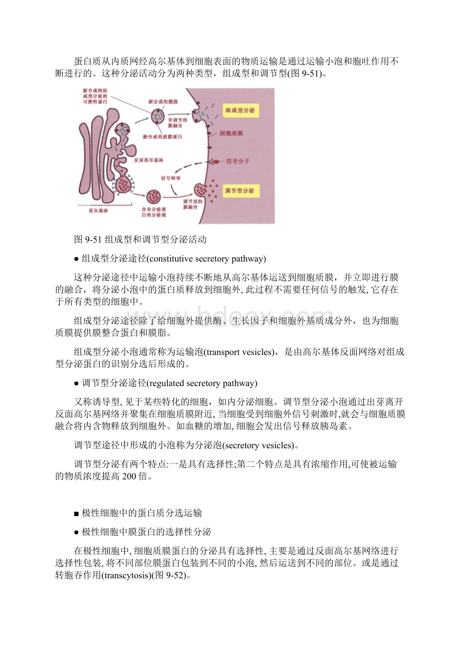 内吞与外排.docx_第2页