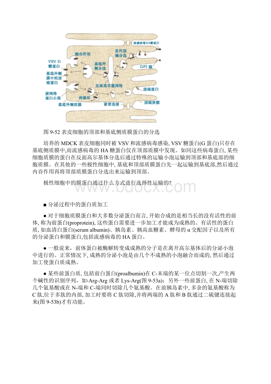 内吞与外排.docx_第3页