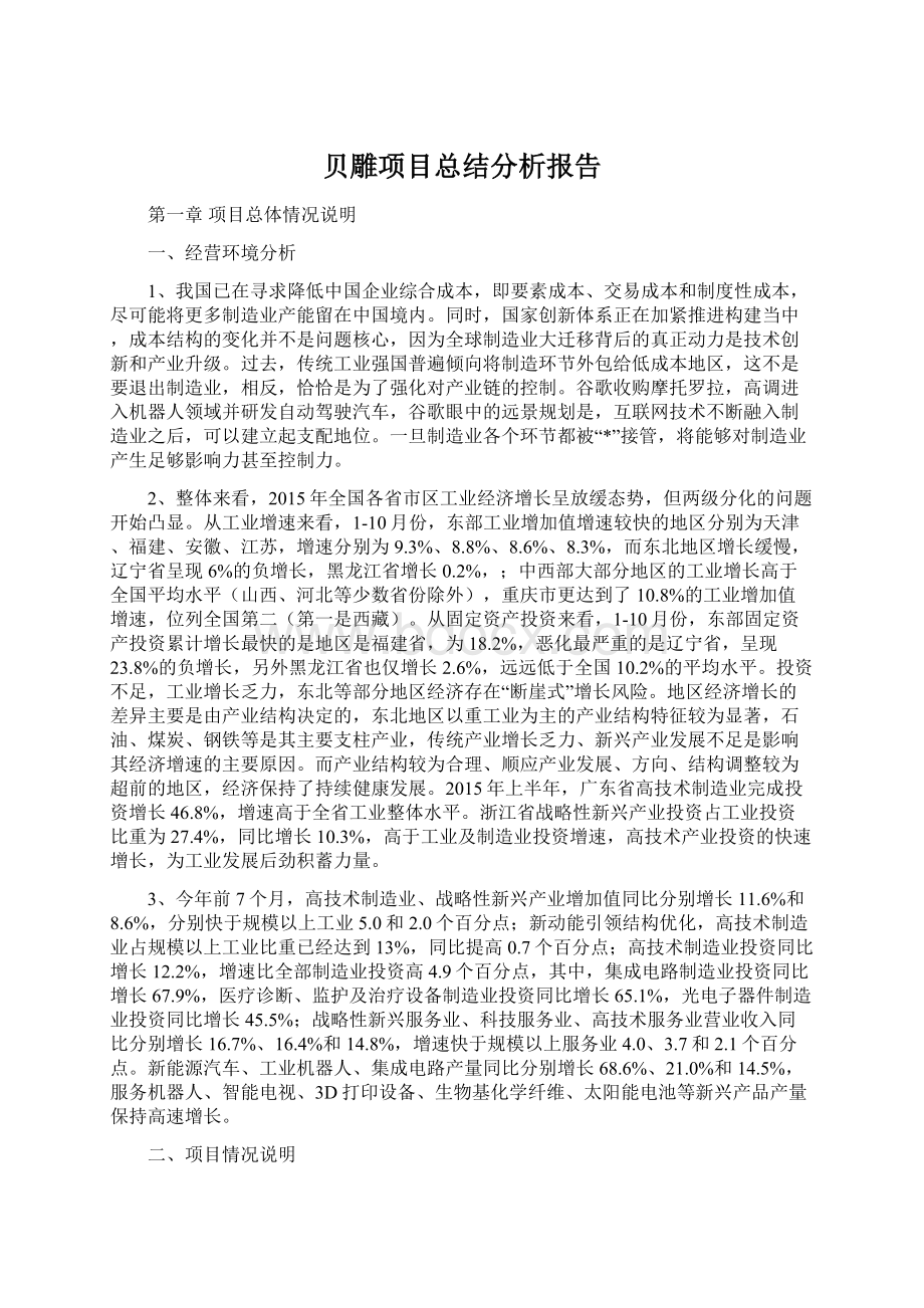 贝雕项目总结分析报告.docx