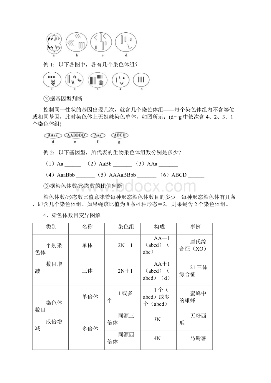 染色体变异专题.docx_第2页