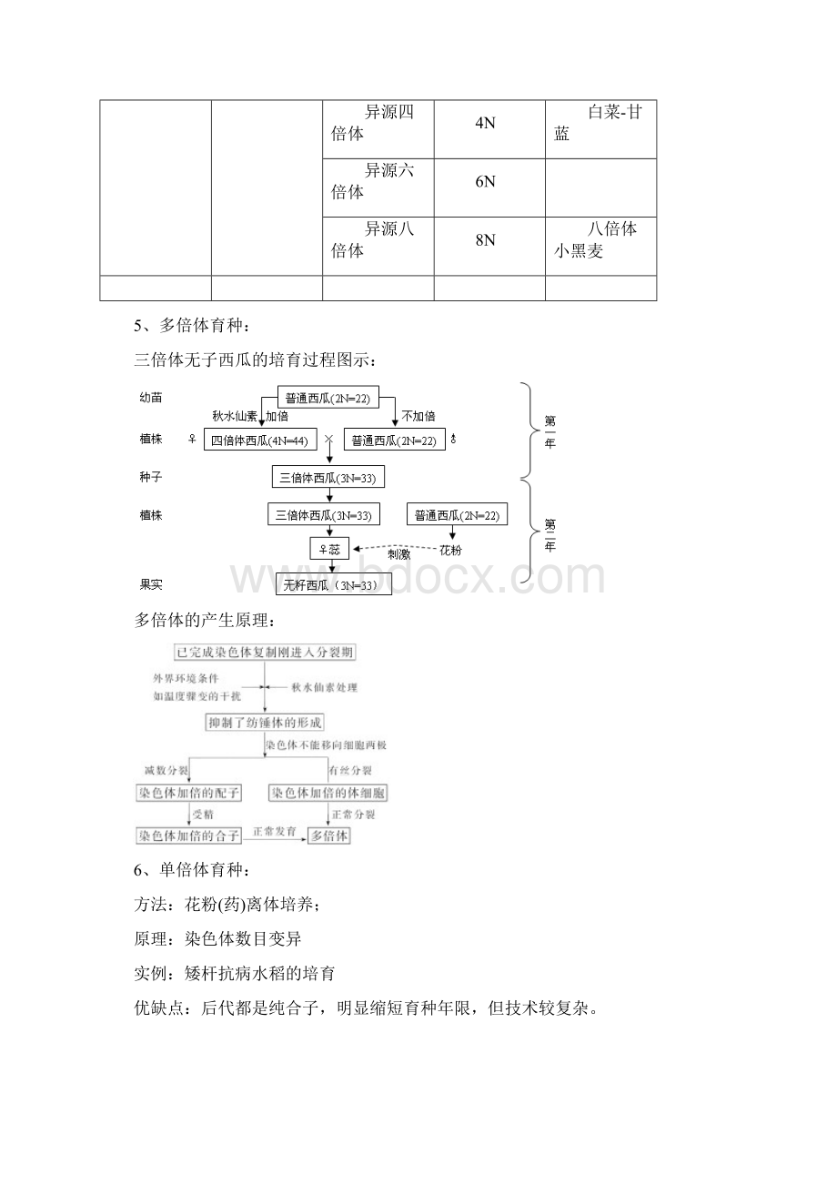 染色体变异专题.docx_第3页