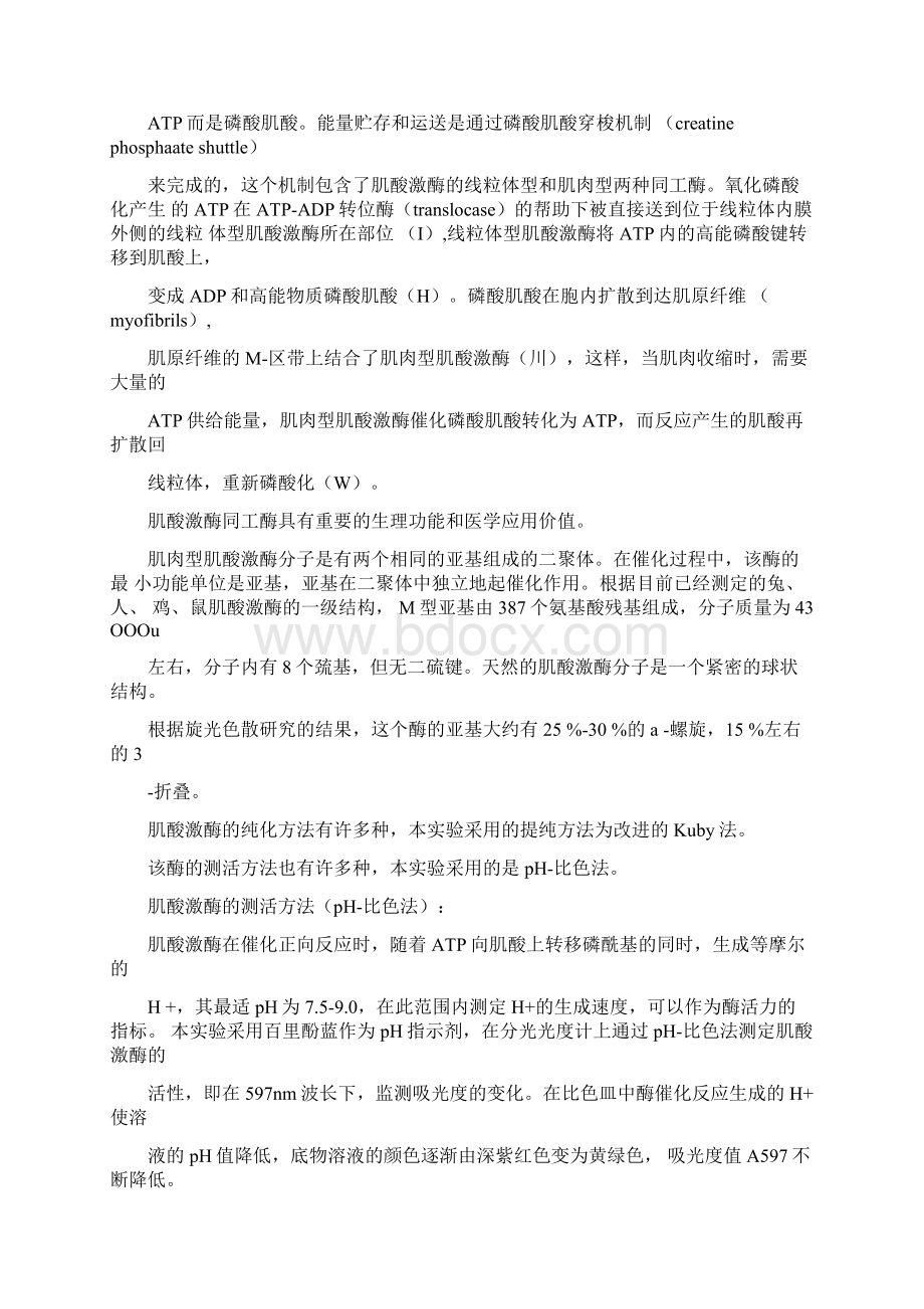 兔肌肌酸激酶的分离纯化及部分性质的测定Word文档格式.docx_第3页