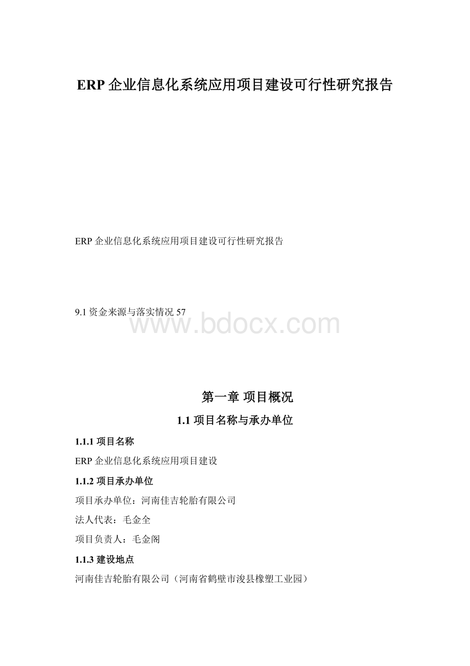 ERP企业信息化系统应用项目建设可行性研究报告.docx_第1页