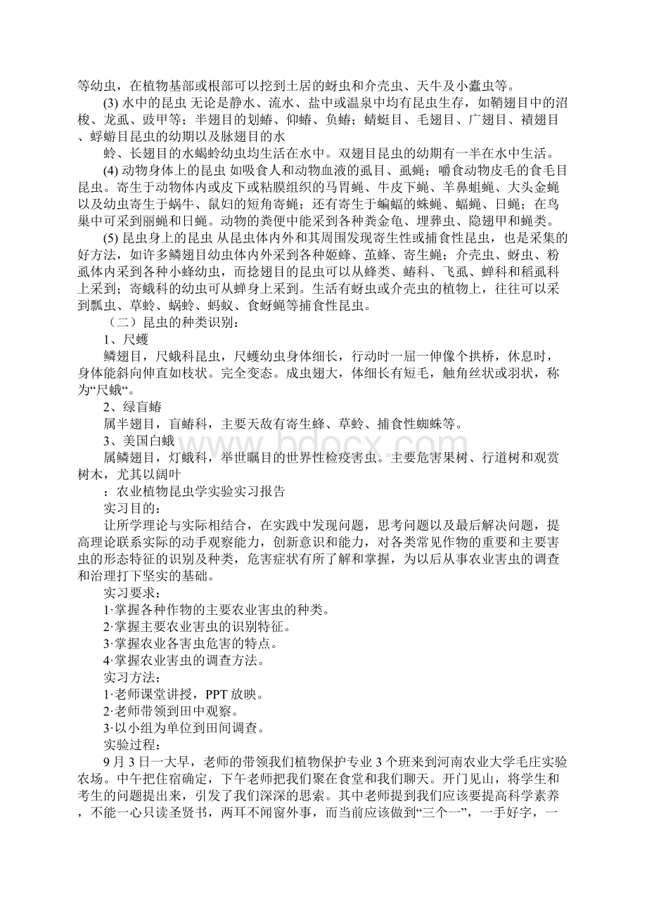 昆虫学的实验报告.docx_第3页