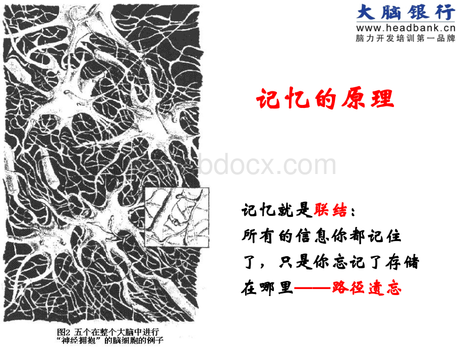 快速记忆法.ppt_第2页