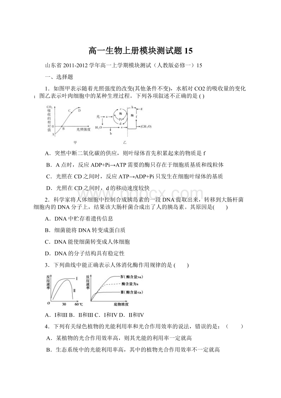 高一生物上册模块测试题15文档格式.docx