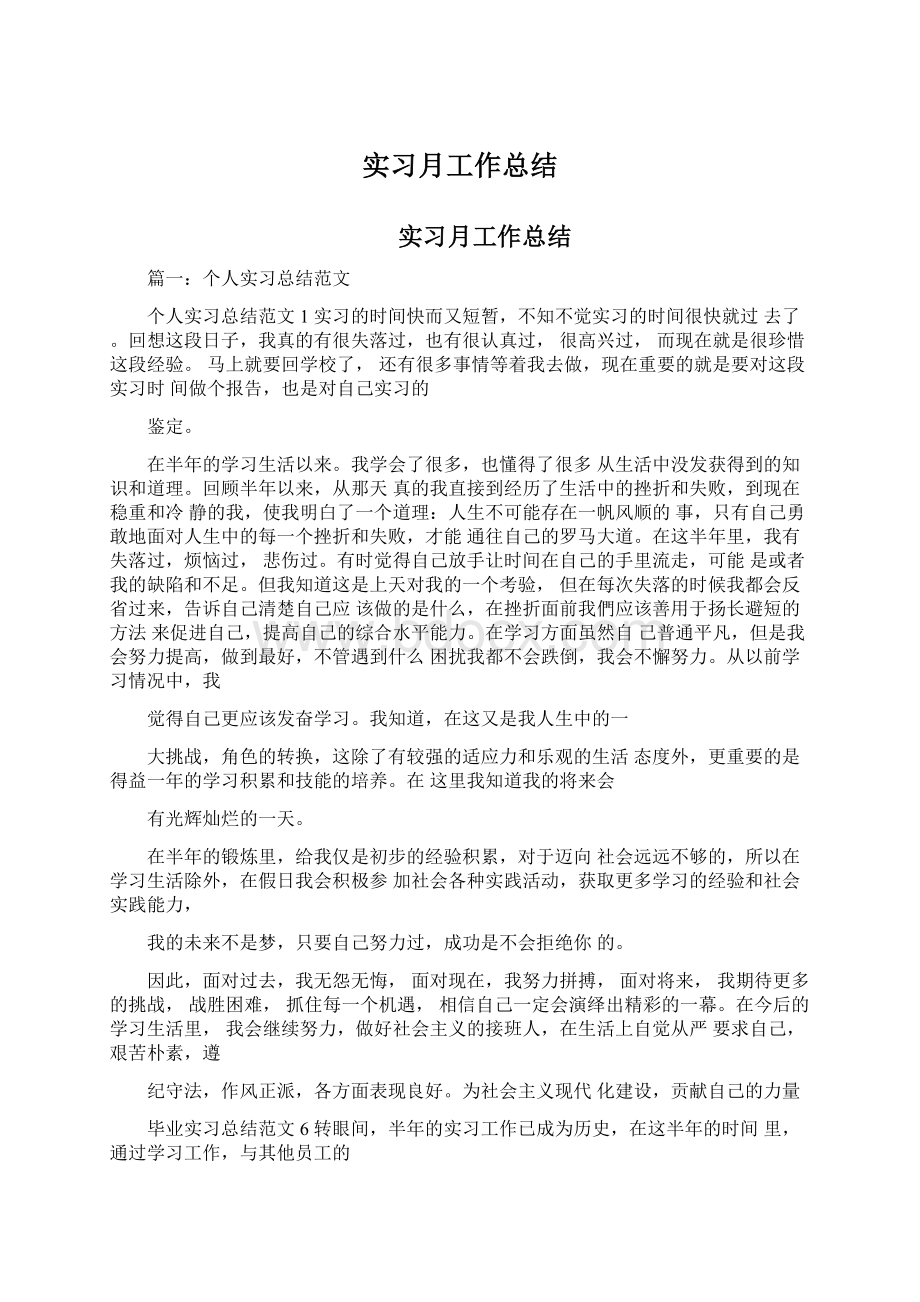 实习月工作总结文档格式.docx