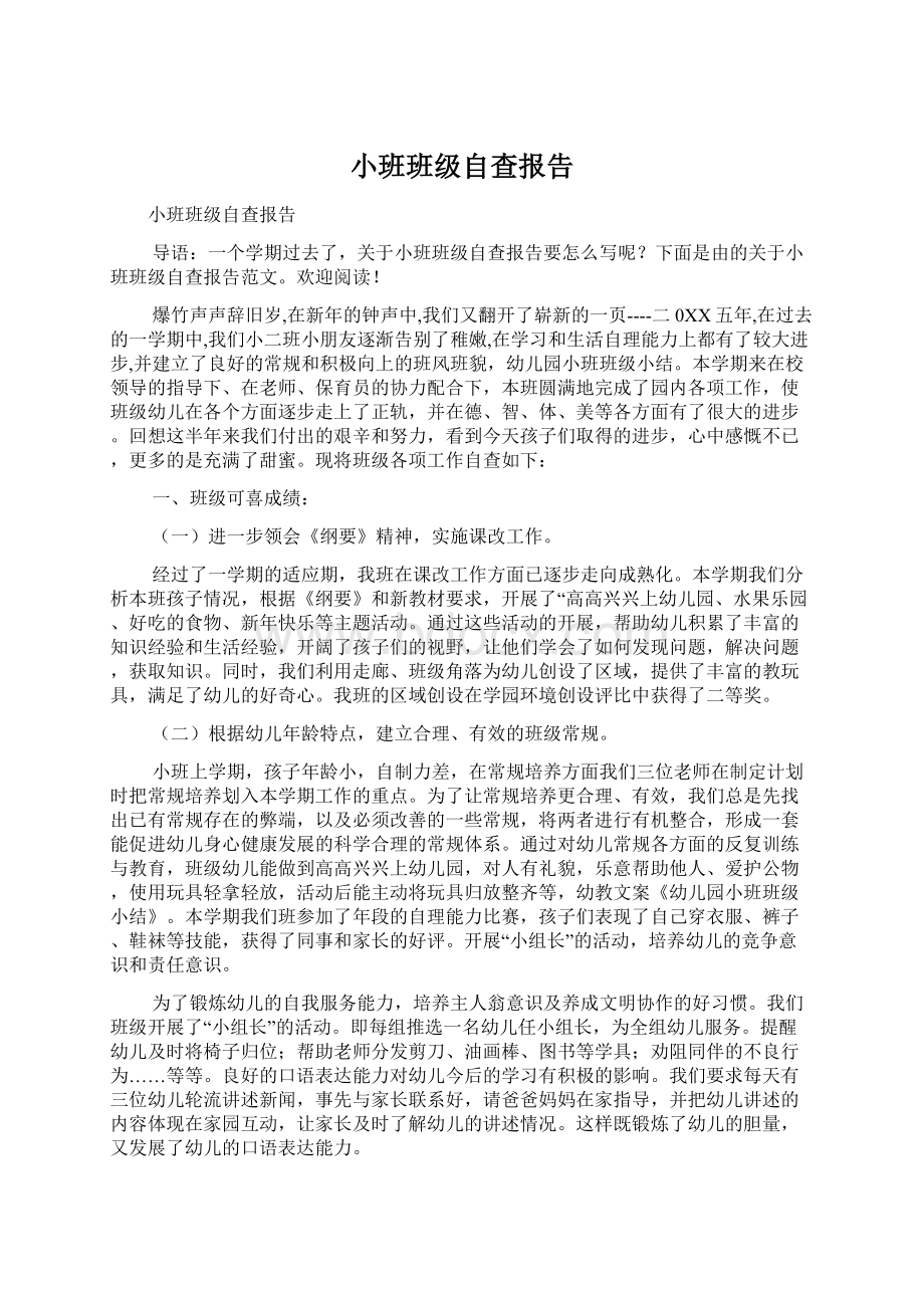 小班班级自查报告.docx