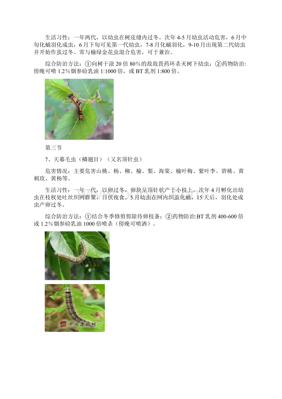 常见园林植物病虫害防治要点附图.docx_第3页