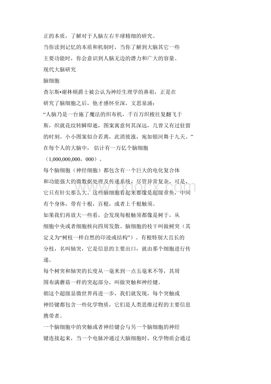 思维导图中文版第一章.docx_第3页