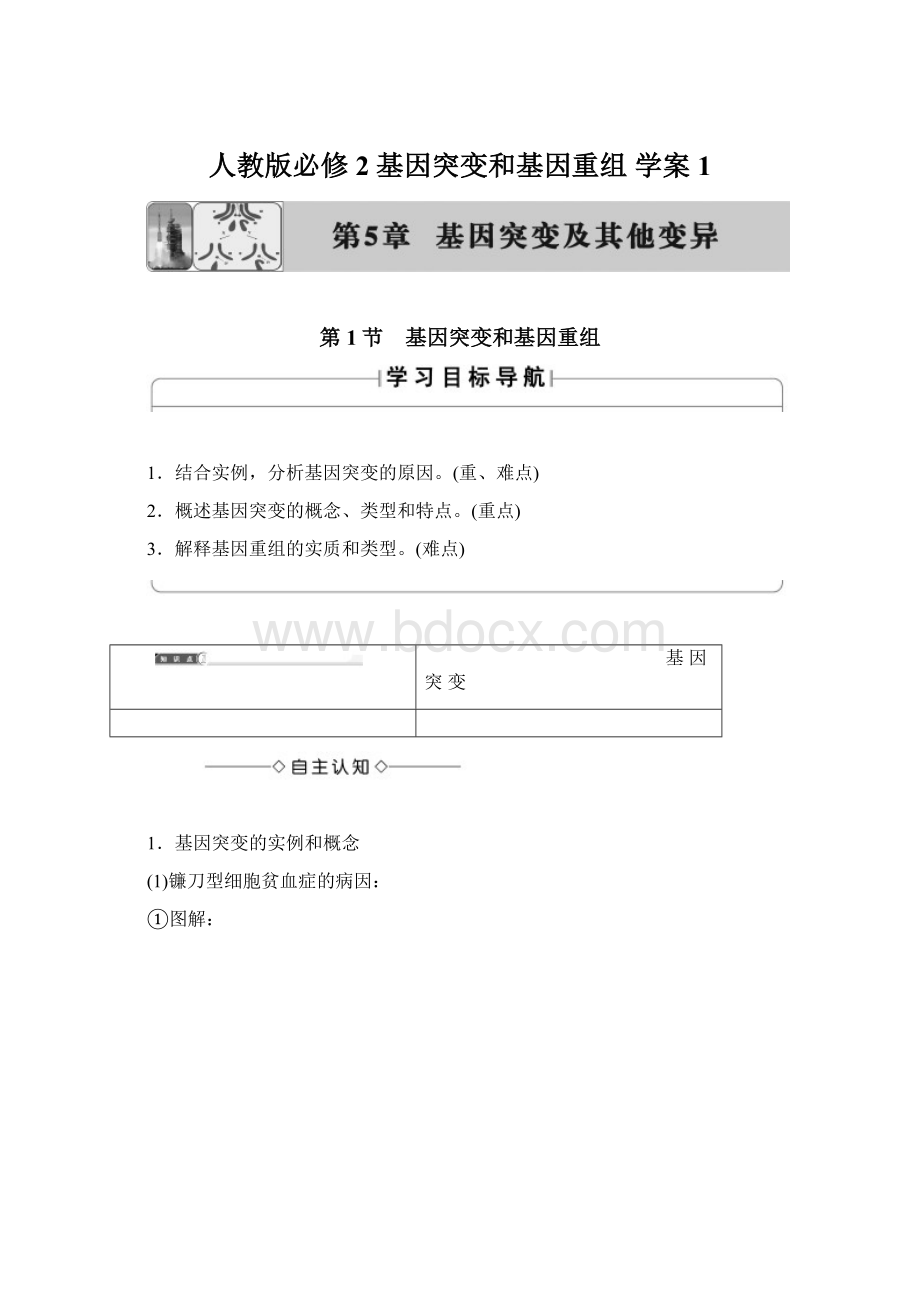 人教版必修2 基因突变和基因重组 学案 1.docx