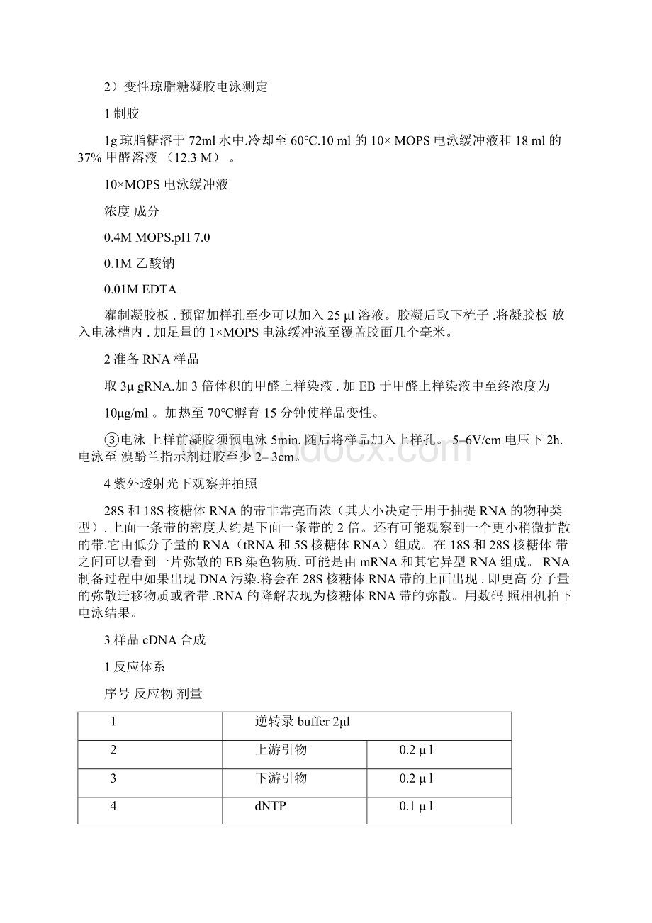 实时荧光定量PCR具体实验步骤文档格式.docx_第2页