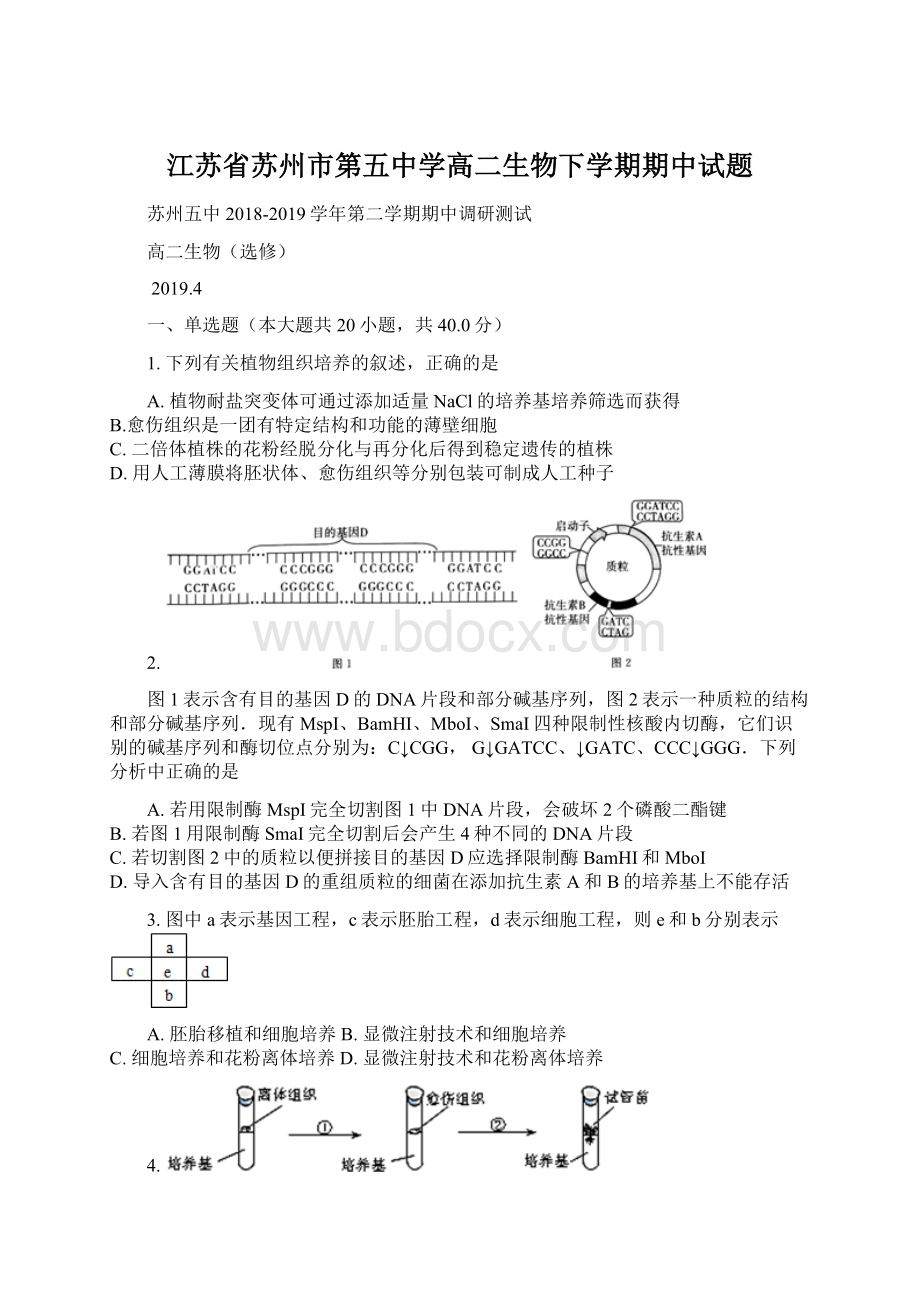 江苏省苏州市第五中学高二生物下学期期中试题.docx