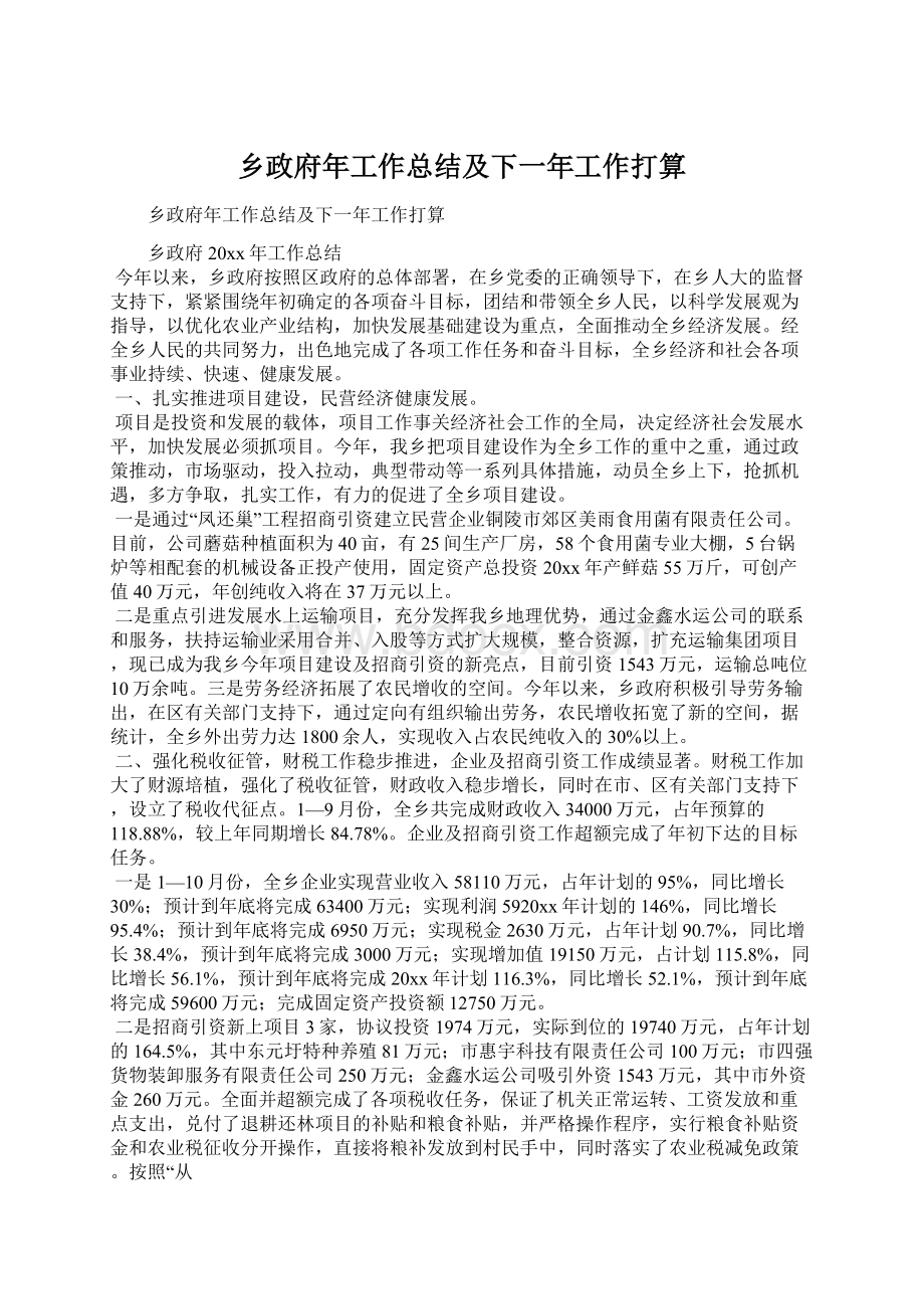 乡政府年工作总结及下一年工作打算Word格式文档下载.docx