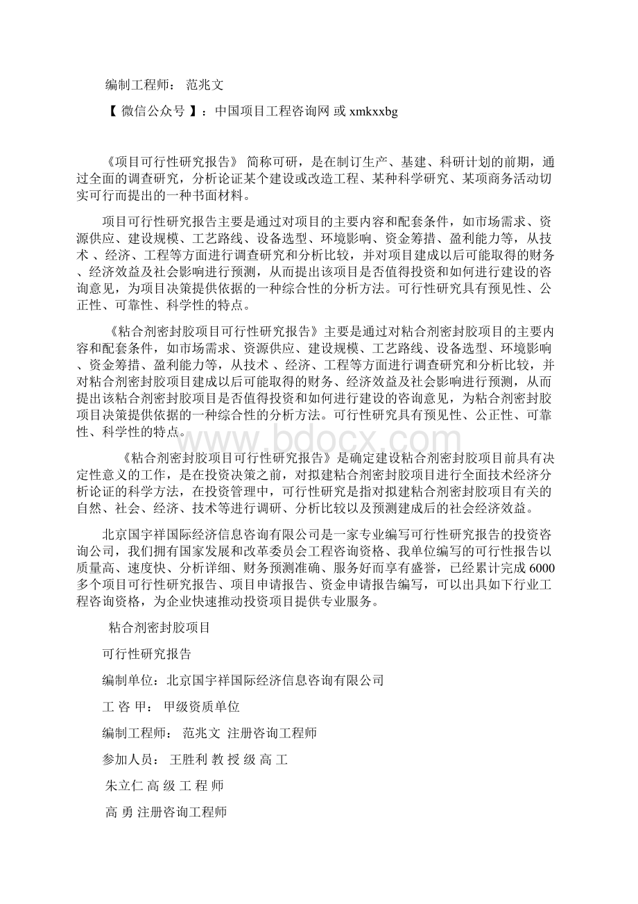 粘合剂密封胶项目可行性研究报告经典案例Word文档格式.docx_第2页