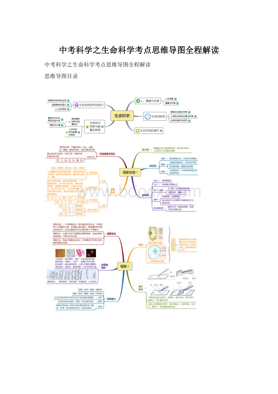 中考科学之生命科学考点思维导图全程解读Word下载.docx_第1页