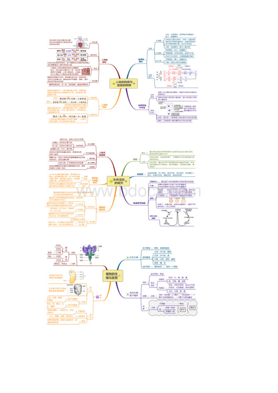 中考科学之生命科学考点思维导图全程解读Word下载.docx_第3页