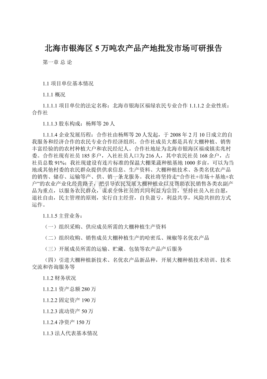 北海市银海区5万吨农产品产地批发市场可研报告.docx_第1页