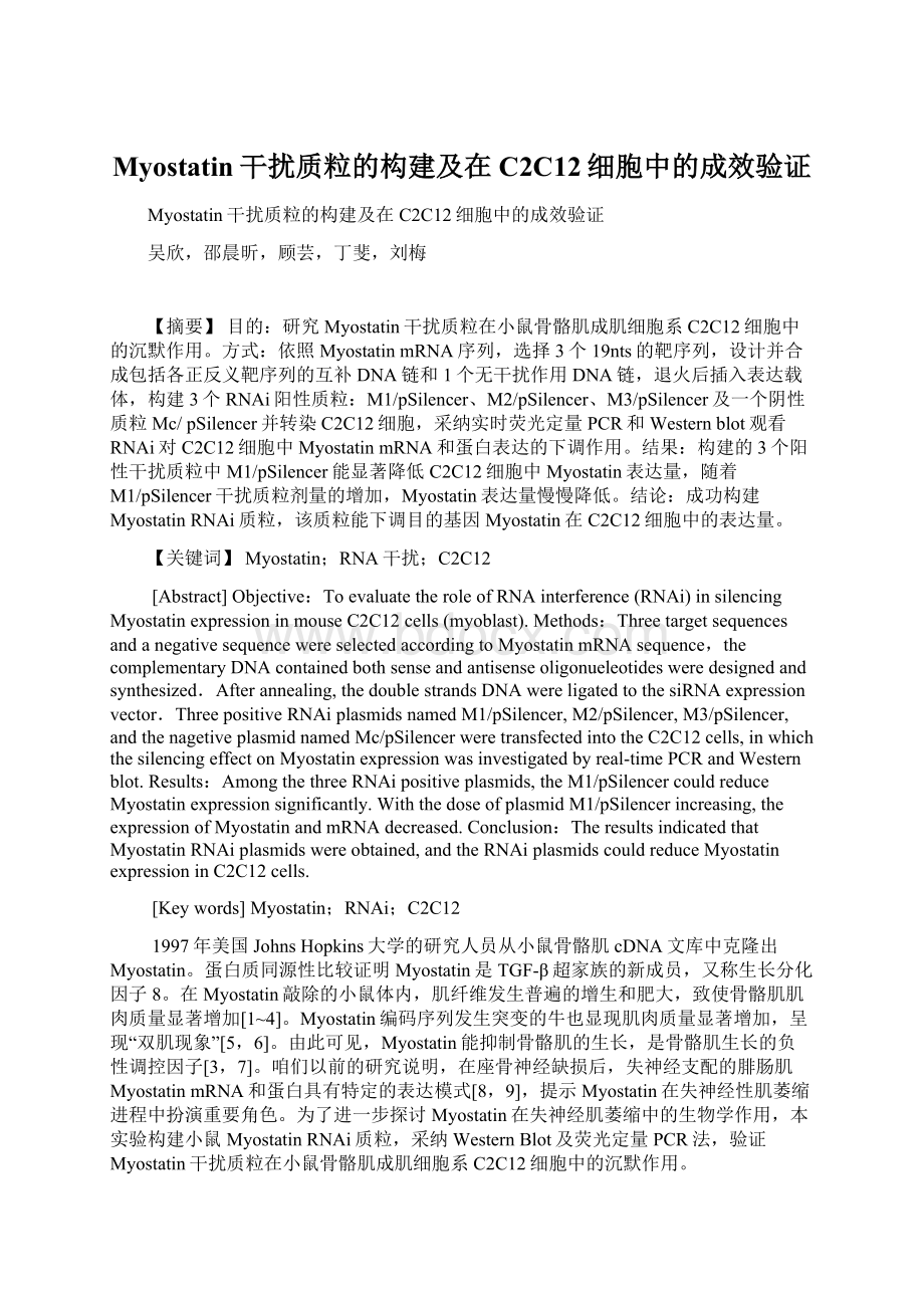 Myostatin干扰质粒的构建及在C2C12细胞中的成效验证Word文件下载.docx