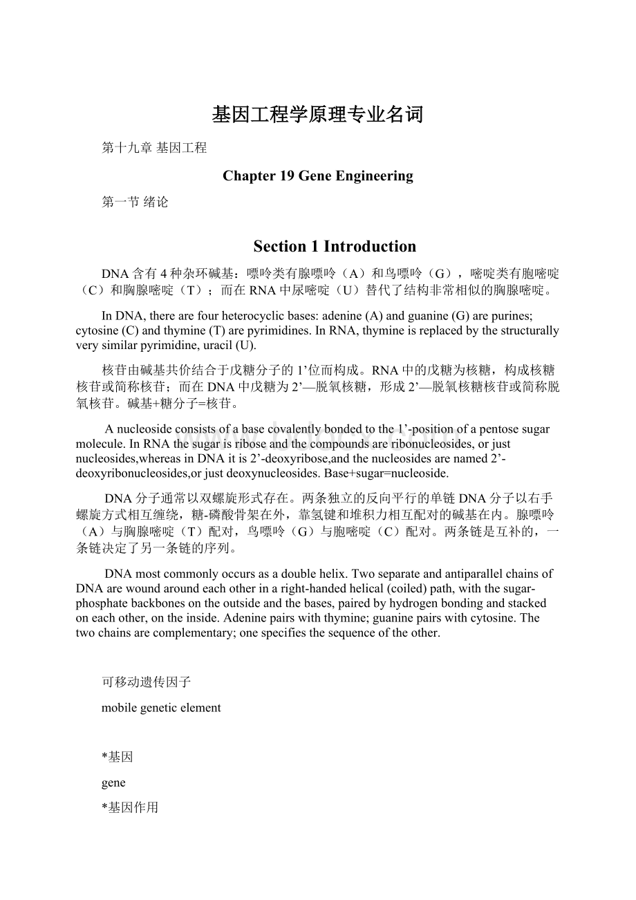 基因工程学原理专业名词Word格式文档下载.docx