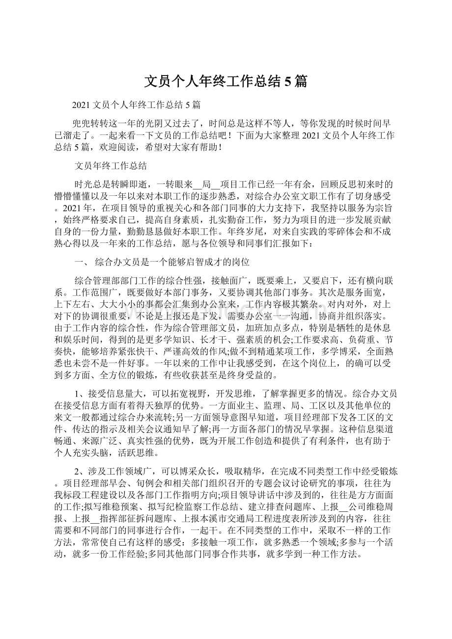 文员个人年终工作总结5篇文档格式.docx