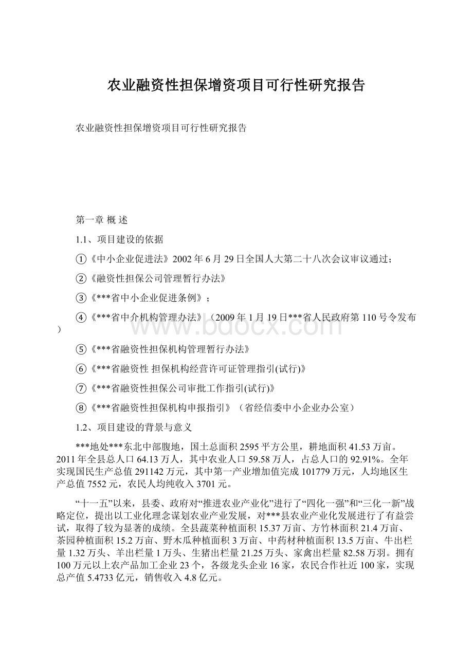 农业融资性担保增资项目可行性研究报告Word格式.docx