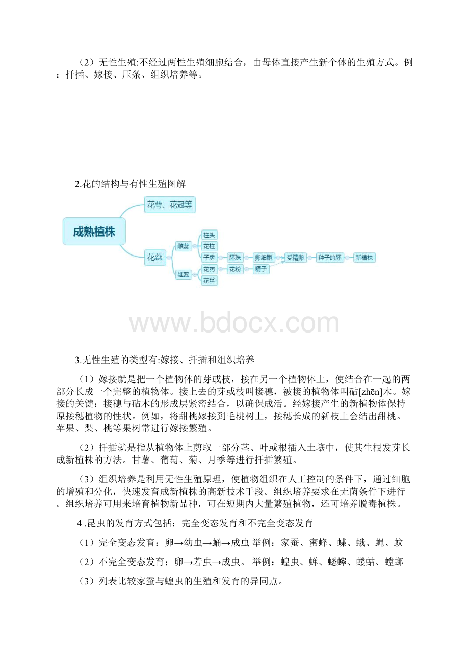 人教版八年级下册生物中考考点精华识记思维导图版.docx_第2页