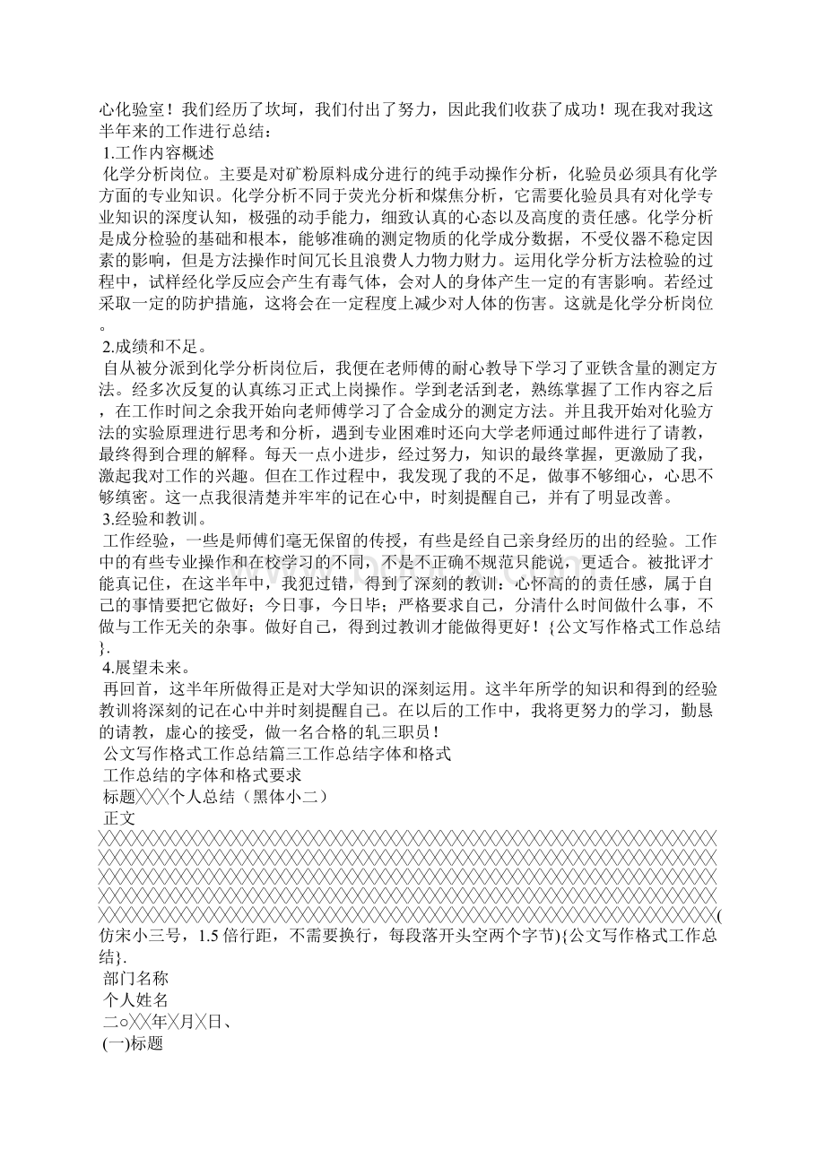 公文写作格式工作总结.docx_第2页