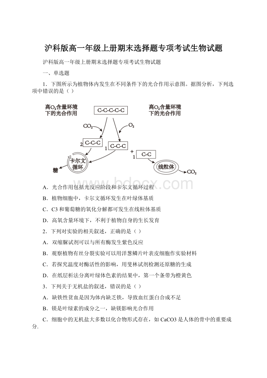 沪科版高一年级上册期末选择题专项考试生物试题Word文件下载.docx_第1页