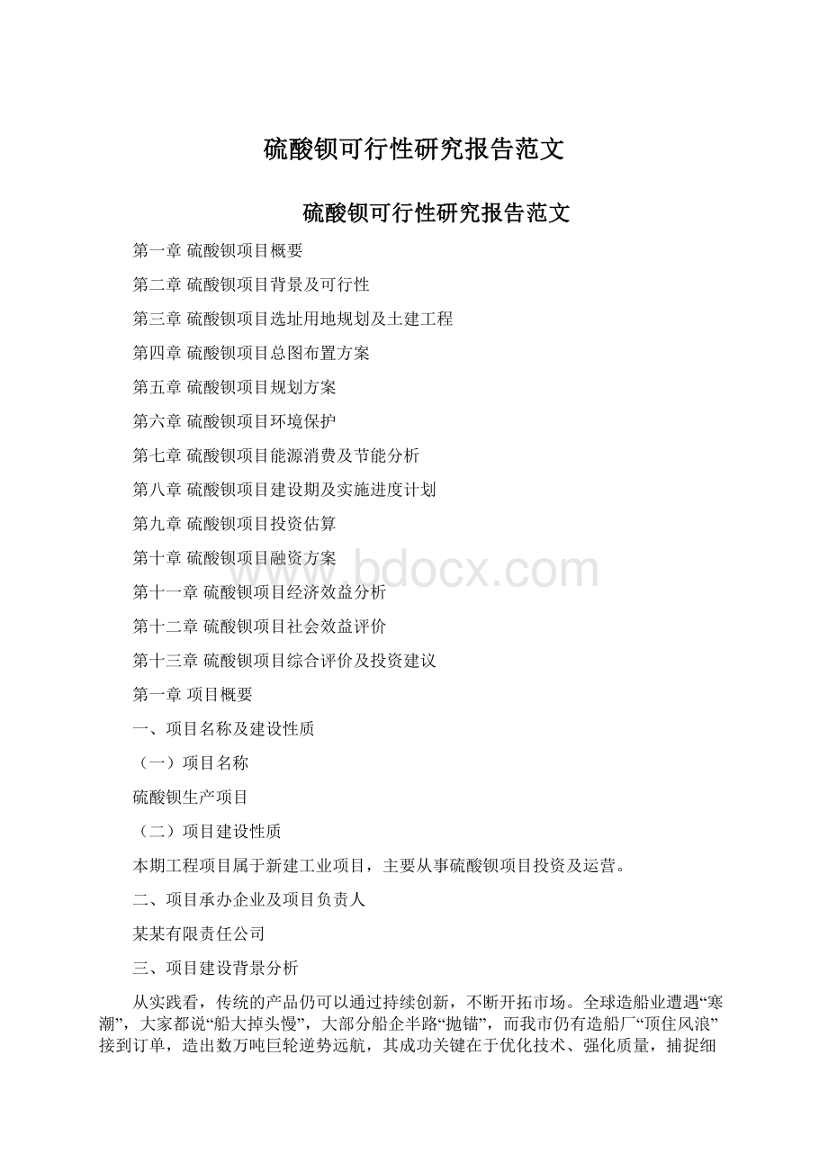 硫酸钡可行性研究报告范文.docx