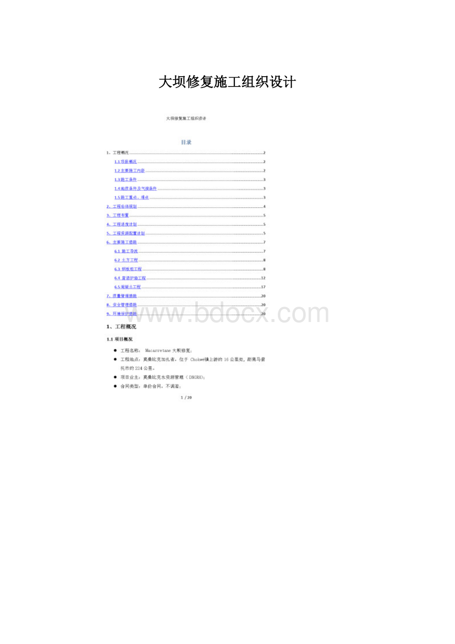 大坝修复施工组织设计.docx