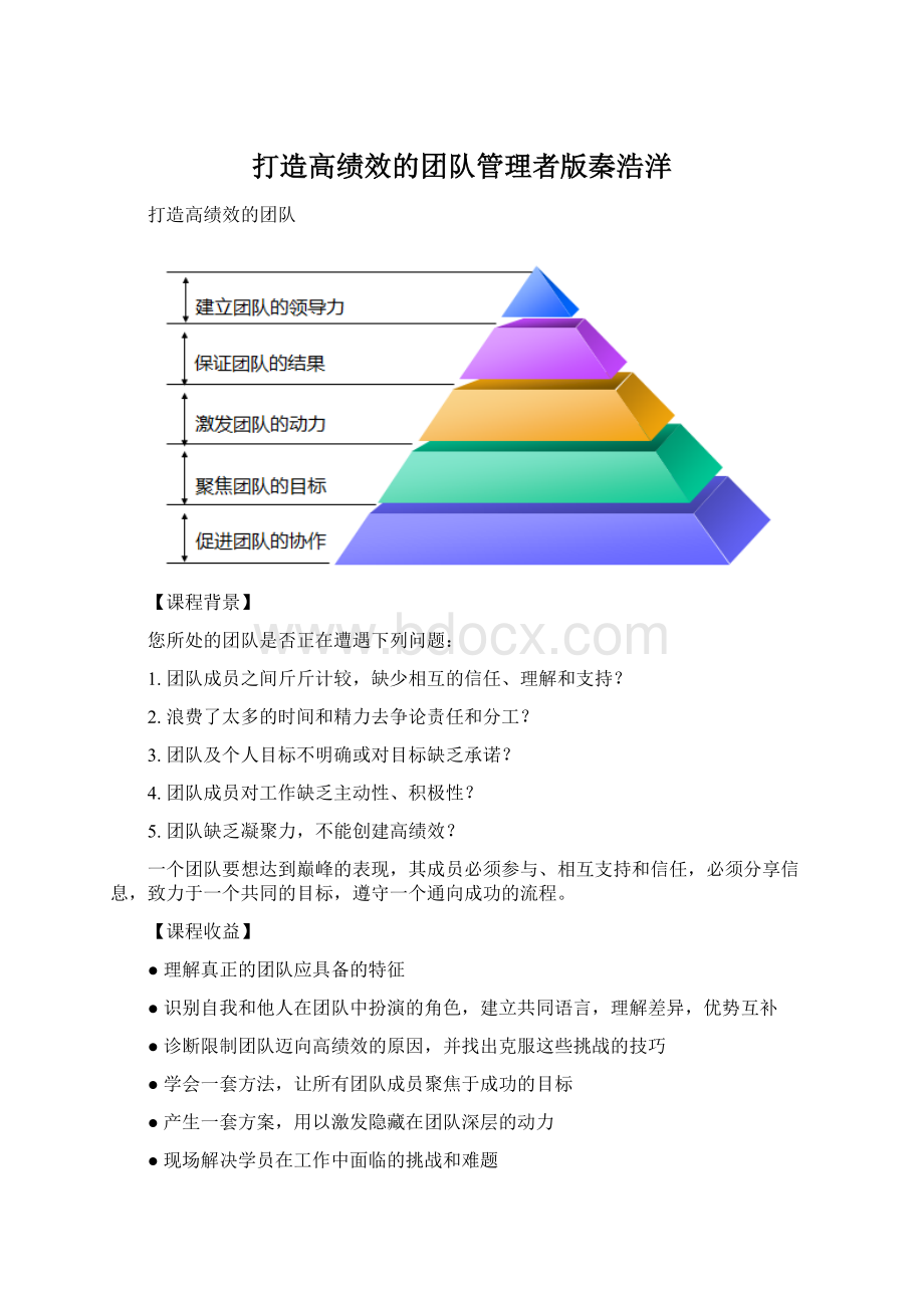 打造高绩效的团队管理者版秦浩洋文档格式.docx