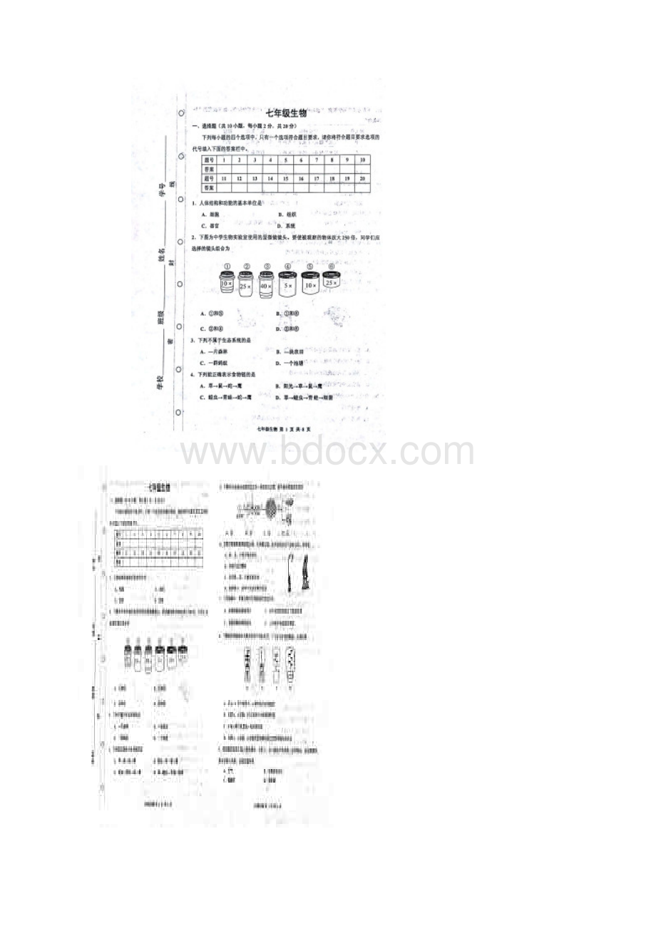 天津市红桥区七年级生物上学期期末考试试题扫描版新人教版Word文档下载推荐.docx_第2页