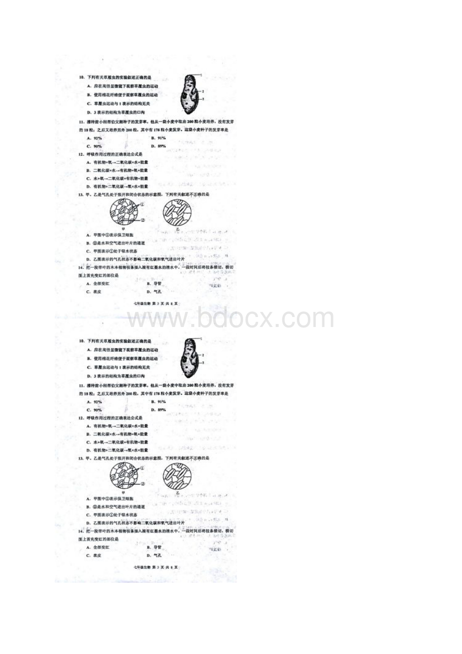 天津市红桥区七年级生物上学期期末考试试题扫描版新人教版Word文档下载推荐.docx_第3页