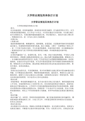 大学职业规划具体执行计划.docx