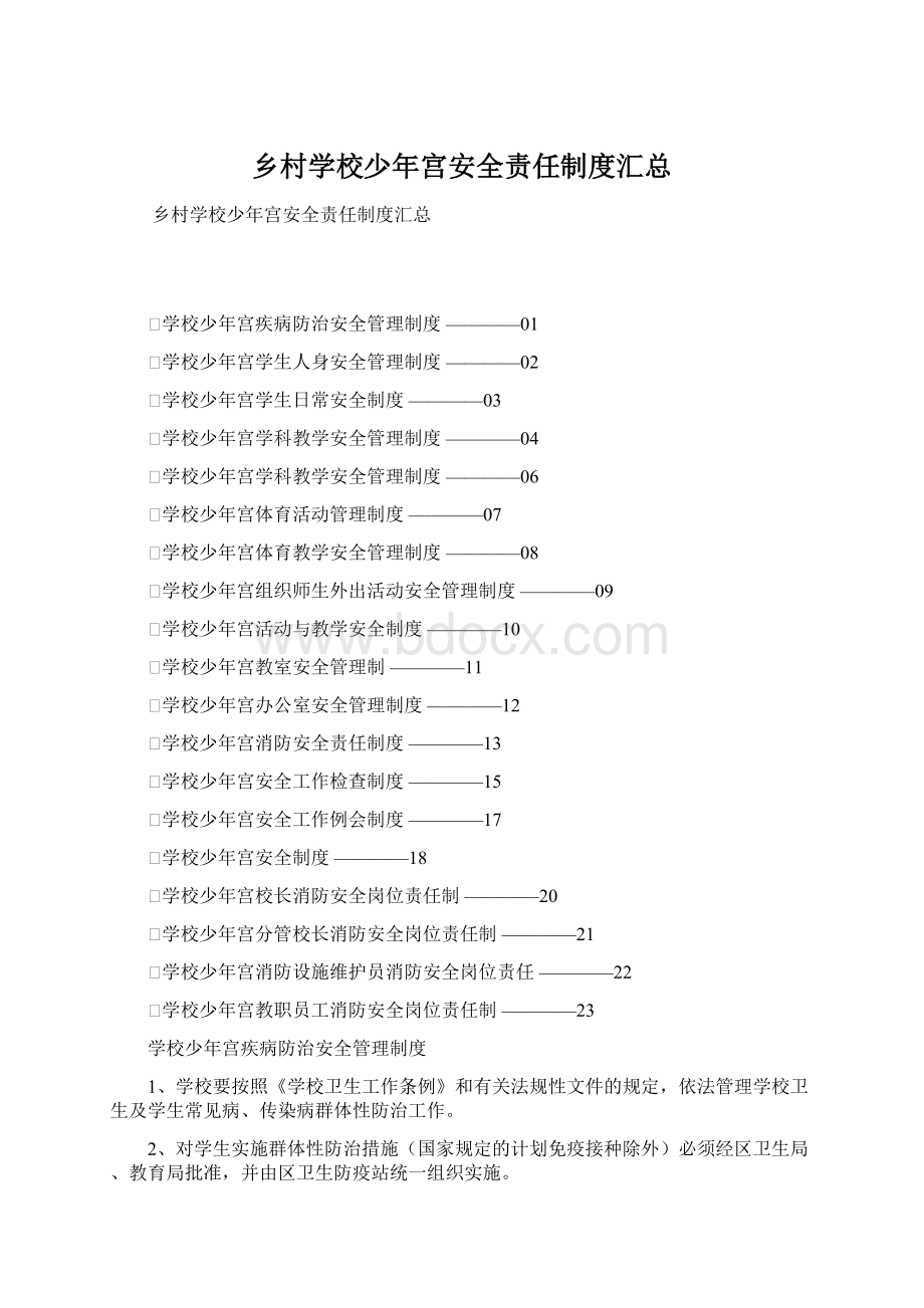 乡村学校少年宫安全责任制度汇总Word格式.docx