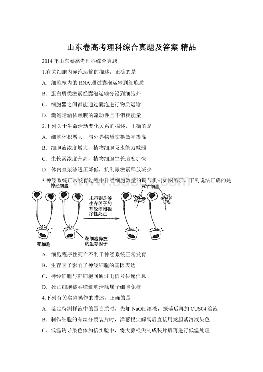 山东卷高考理科综合真题及答案 精品.docx