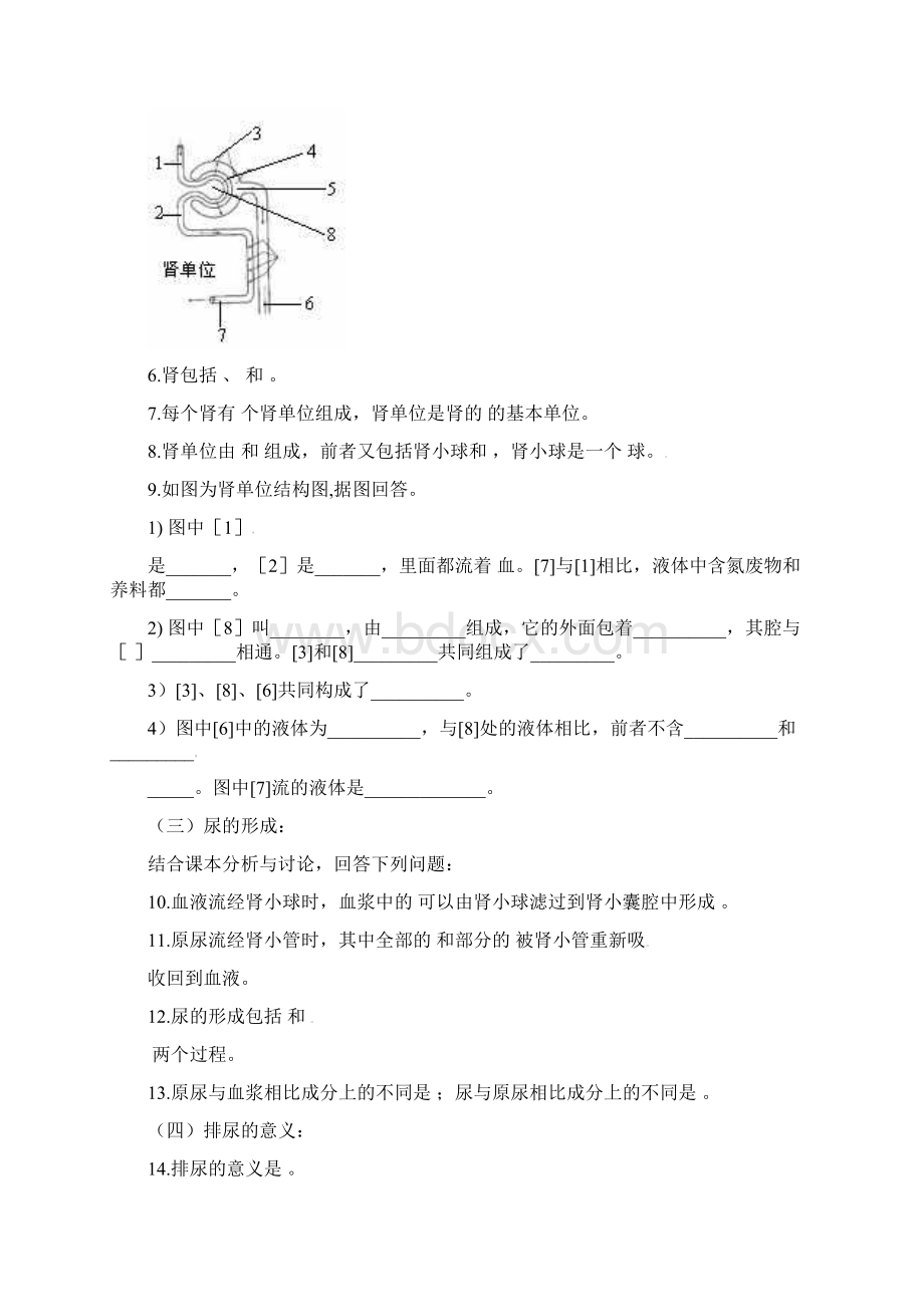 新人教版七年级生物下册51《尿的形成和排出》学案+五套中考模拟卷文档格式.docx_第2页