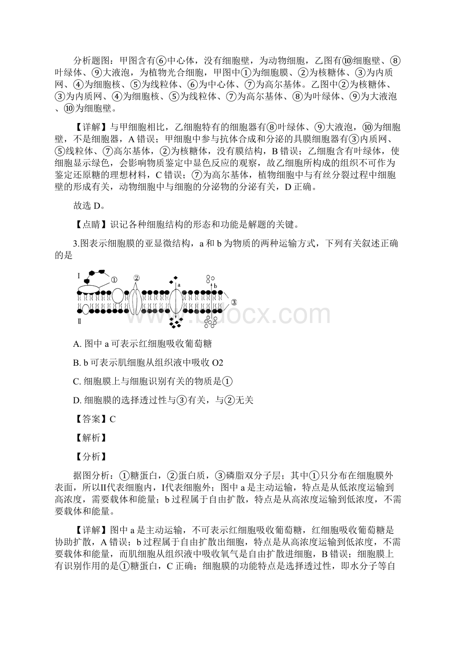 江苏省四校南师附中天一中学海门中学淮阴中学届高三下学期期初调研检测生物试题解析版Word文档下载推荐.docx_第3页