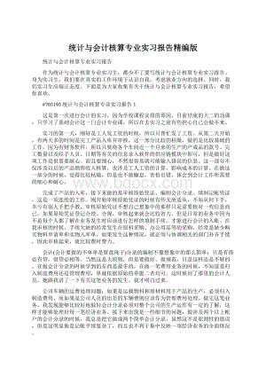 统计与会计核算专业实习报告精编版Word格式文档下载.docx