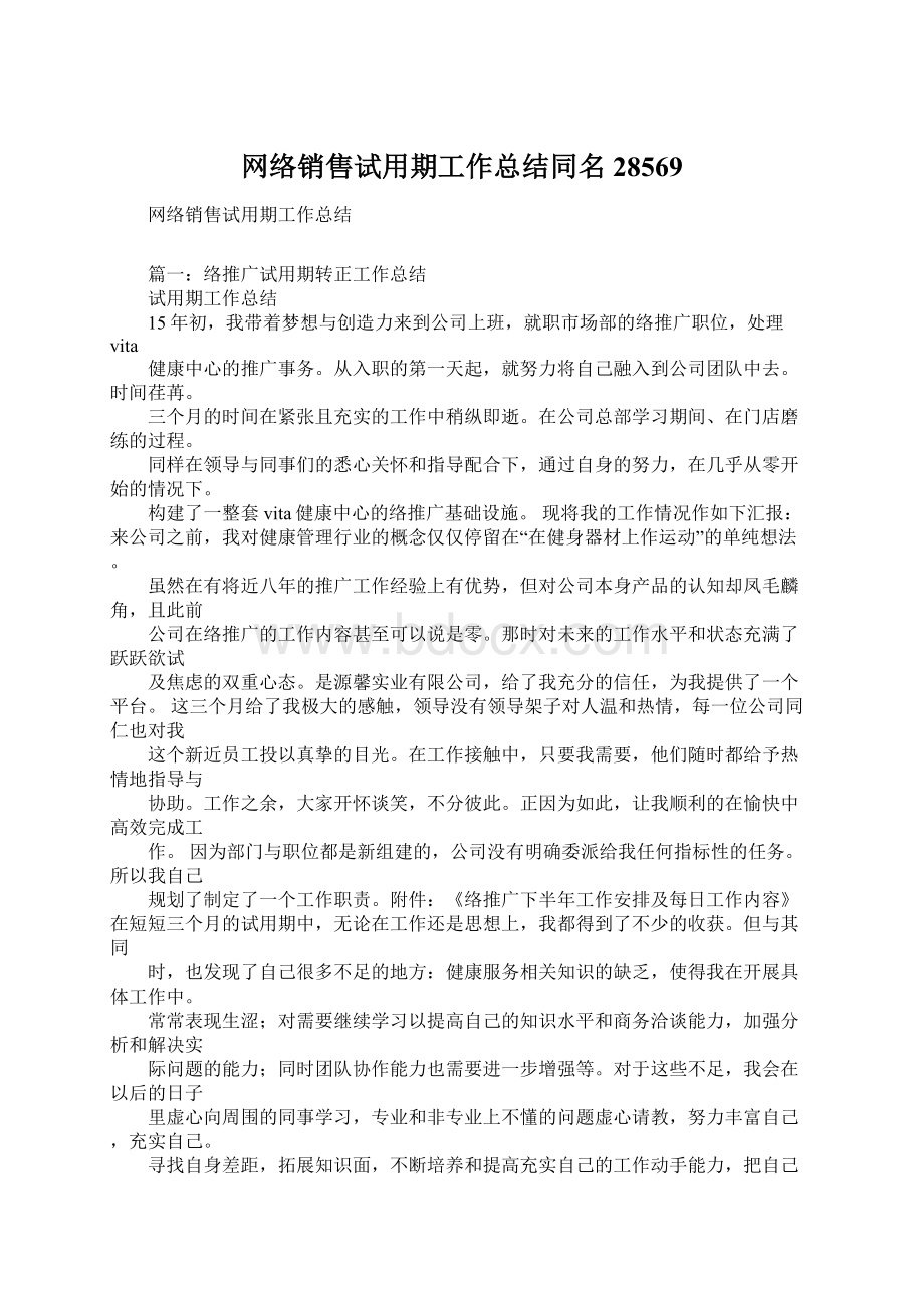 网络销售试用期工作总结同名28569.docx