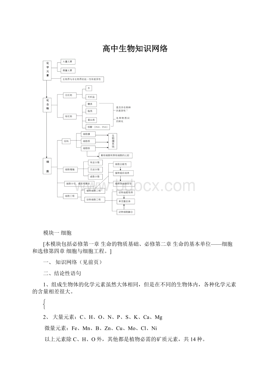 高中生物知识网络Word下载.docx_第1页