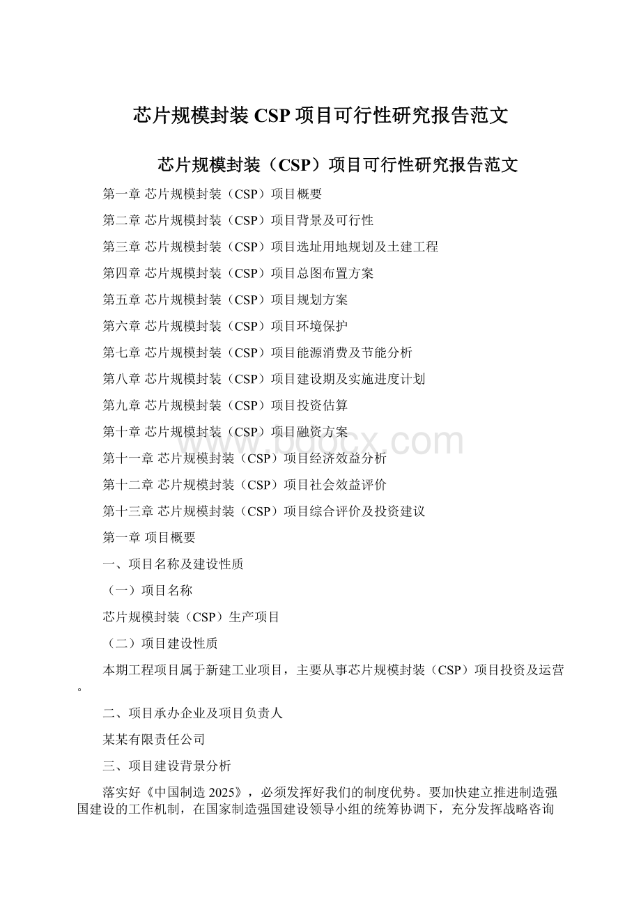 芯片规模封装CSP项目可行性研究报告范文.docx_第1页