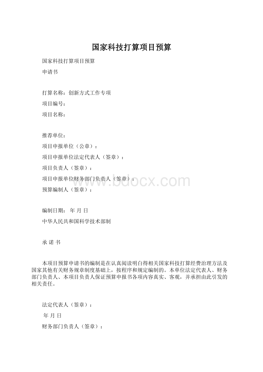 国家科技打算项目预算Word格式文档下载.docx_第1页