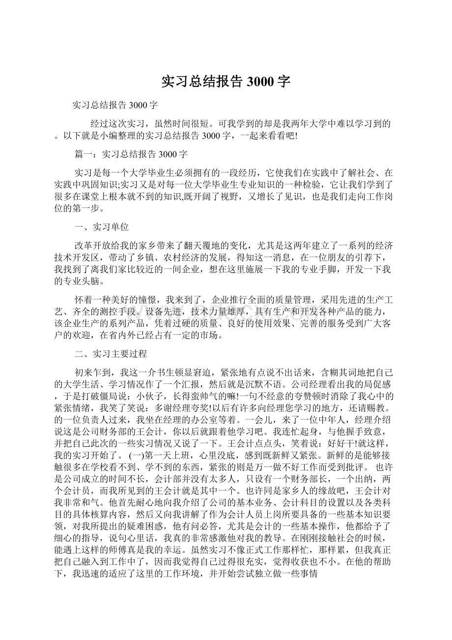 实习总结报告3000字文档格式.docx