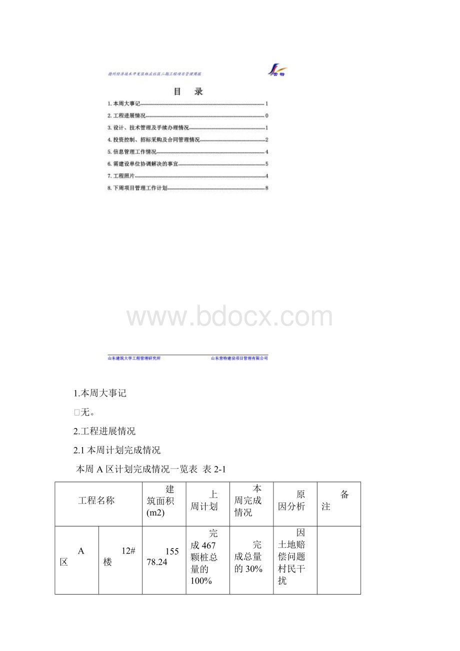 项目管理周报.docx_第2页